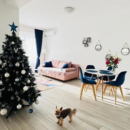 Karra Residence Timisoara - autorizat Ministerul Turismului-3