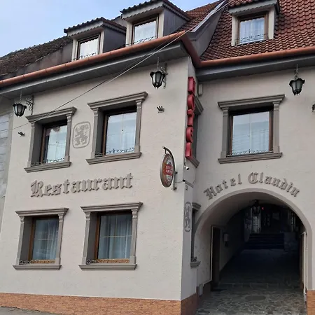 Hotel Claudiu-3