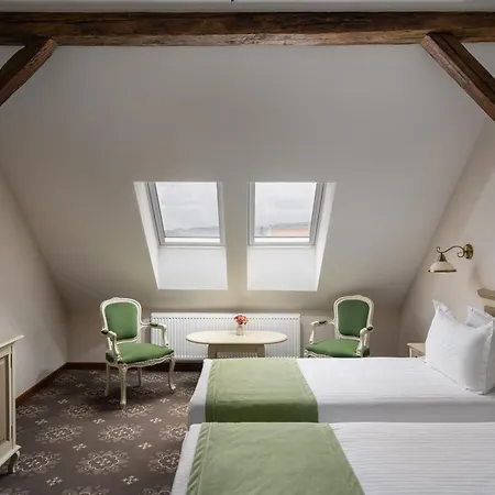 Hotel Leul de Aur-3
