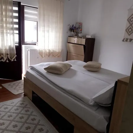 Casa Albert Sinaia-2