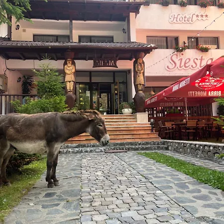 Hotel Siesta Balea-2