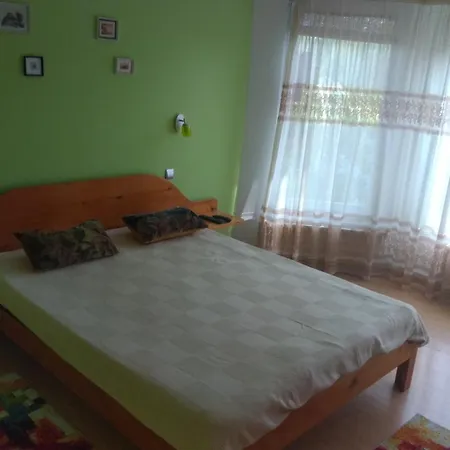Casa Tomson, free parking, ciubăr, piscină în natura-3