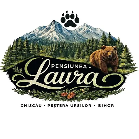 Pensiunea Laura-3