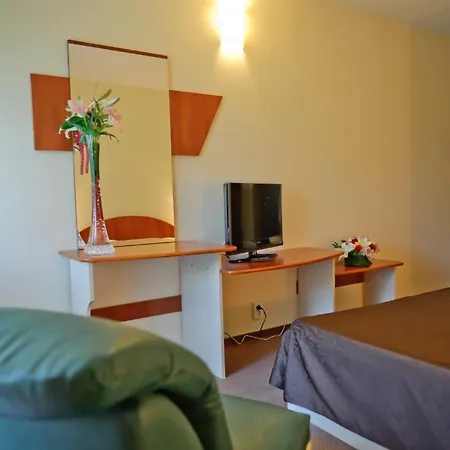 Hotel Bradul-3