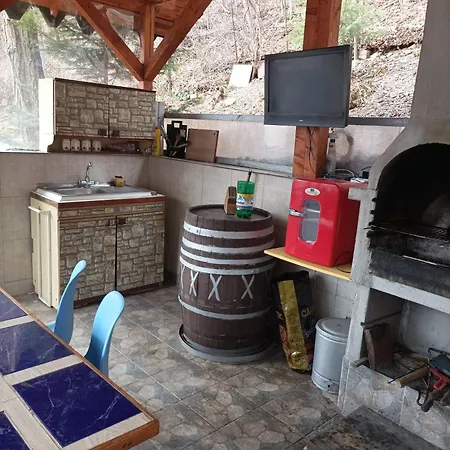 Casa Puiu-2