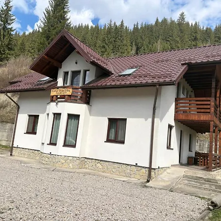 Casa Diaconu-3