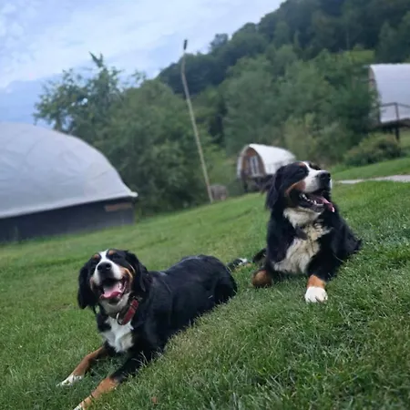 Sunrise Glamping Retreat-3
