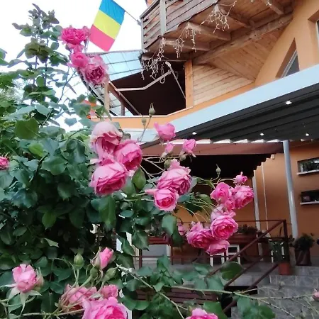 Casa Tudor Turda-2