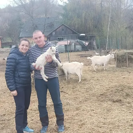 Pensiunea Ancuta din Botiza-3