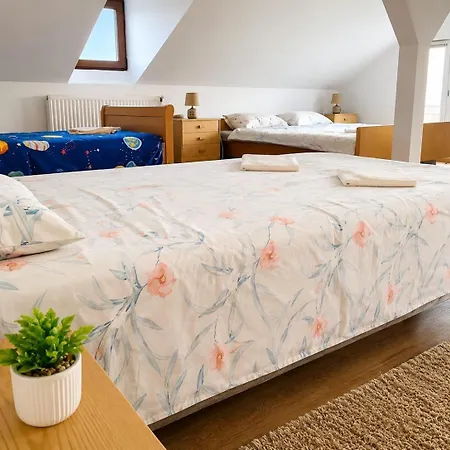 Vila Ţara Haţegului-3