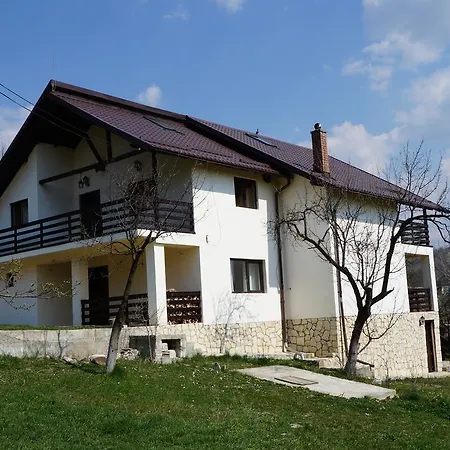 Casa Paltinu-3