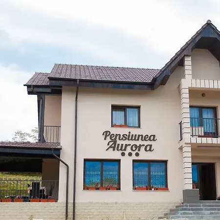 Pensiunea Aurora-3