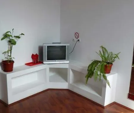 Pensiunea Dariana-2