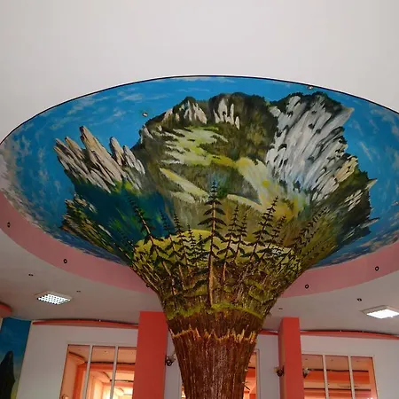Hotel Bradul-3
