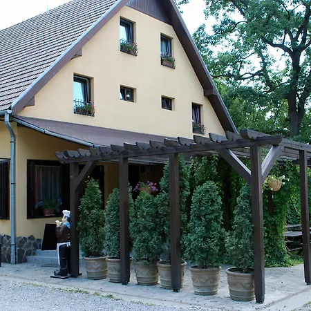 Pensiunea Stejarul-2