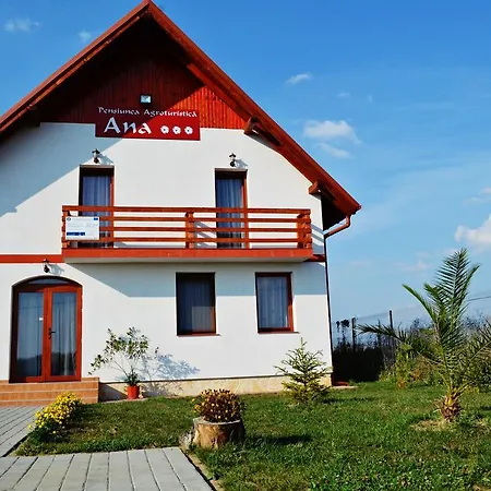 Pensiunea Ana-3