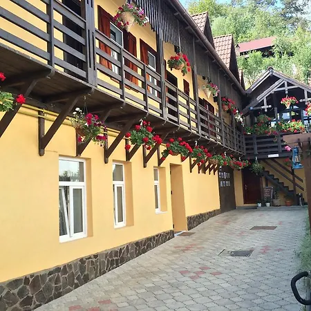 Casa Cu Cerdac-2