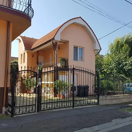 Pensiunea Phoenix-2