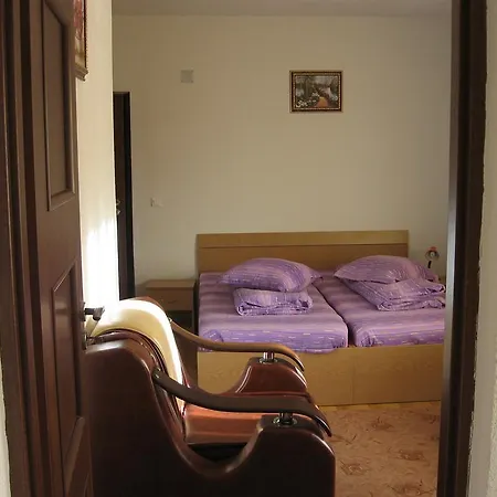 Pensiunea Pomi -Oesti-3