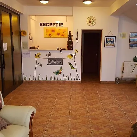 Floarea Soarelui-3