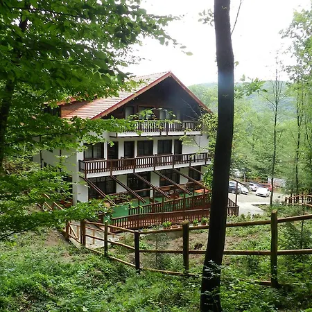 Pensiunea Stejarul-3