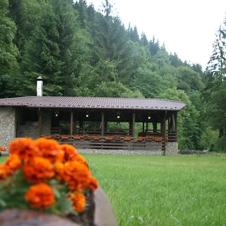 Pensiunea Denisa-3