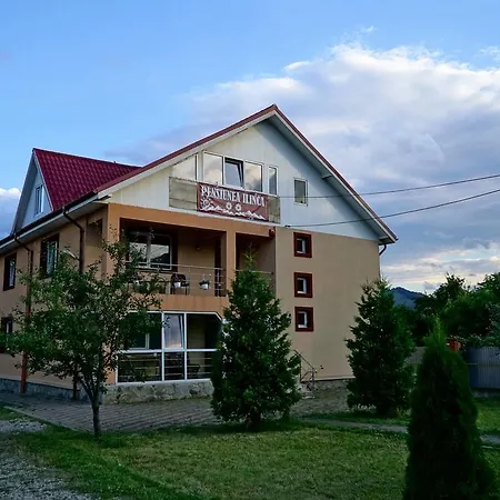 Pensiunea Ilinca-2
