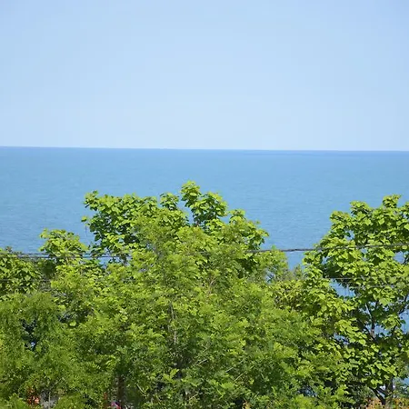 Razvan Holiday-2