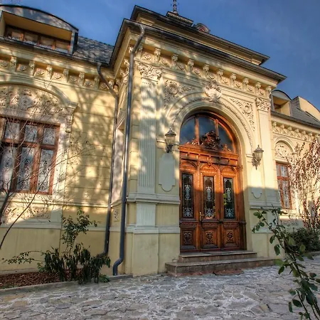Hotel Restaurant Casa Cu Tei-3