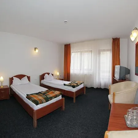 Hotel Paltinis-3