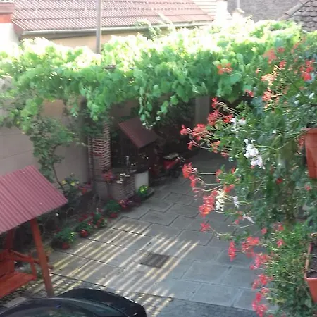 Pensiunea Răzvan-3