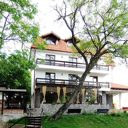Pensiunea Comarnic-Moisa-3