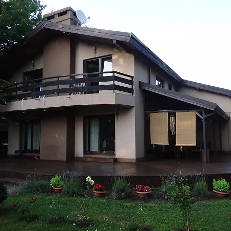 Pensiunea Bamboo - Villa-2