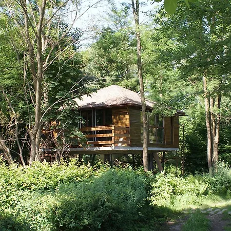 Porumbacu Treehouse-2