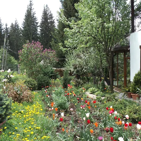 Casa Serban-3