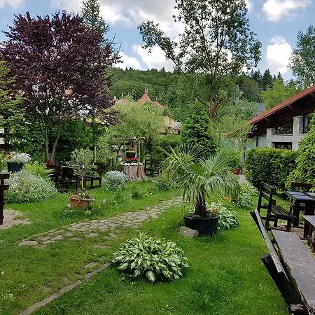 Pensiunea Liziera-3