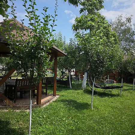 Alegria-2