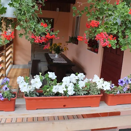 Casa Andreia-2