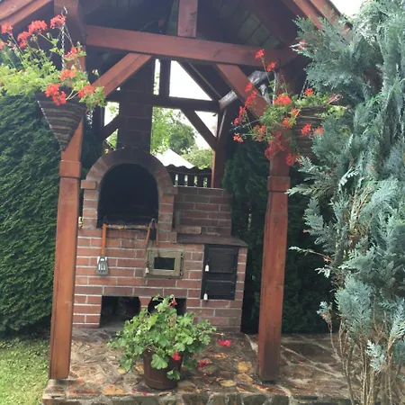 Complex Căsuțe Pensiune Ileana s House-3