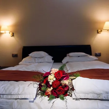Hotel Transylvania Zalau-2