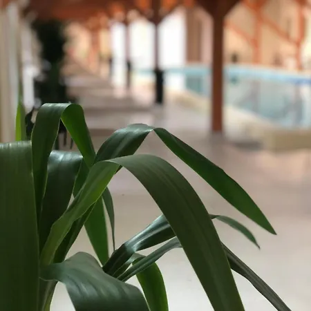 Hotel Ariesul-3