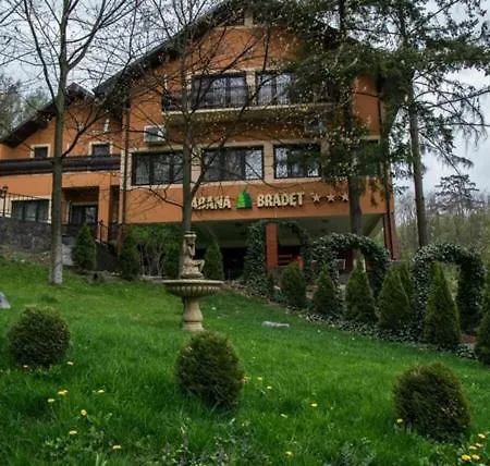Pensiunea Turistica Cabana Bradet-3