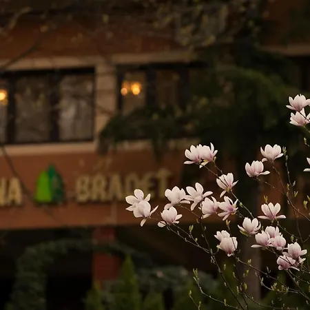 Pensiunea Turistica Cabana Bradet-2