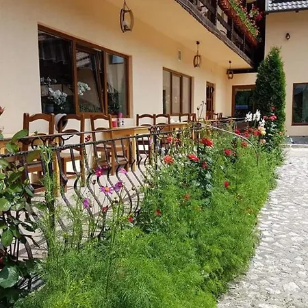 Pension Steaua Ariesului-3