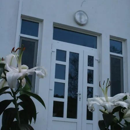 Manea Orsova-2