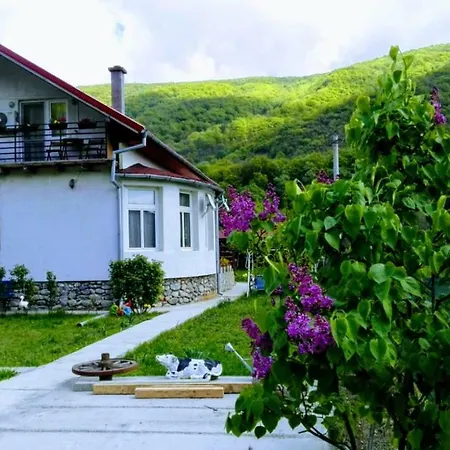Vila Di Pau (Adults Only)-3
