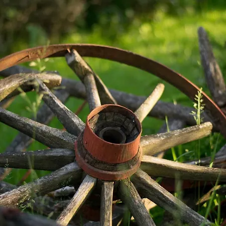 Pensiunea Colt de Munte-2
