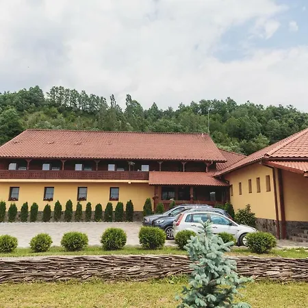 Pensiunea Cosău-3