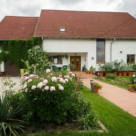 Casa Florilor-2