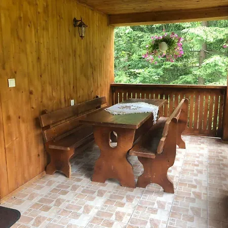Cabana Cory Râușor-2